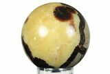 Polished Septarian Sphere - Madagascar #230392-1
